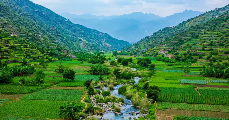 البيك صبيا